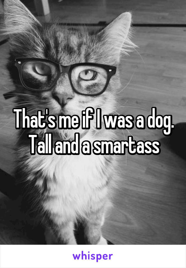 That's me if I was a dog. Tall and a smartass