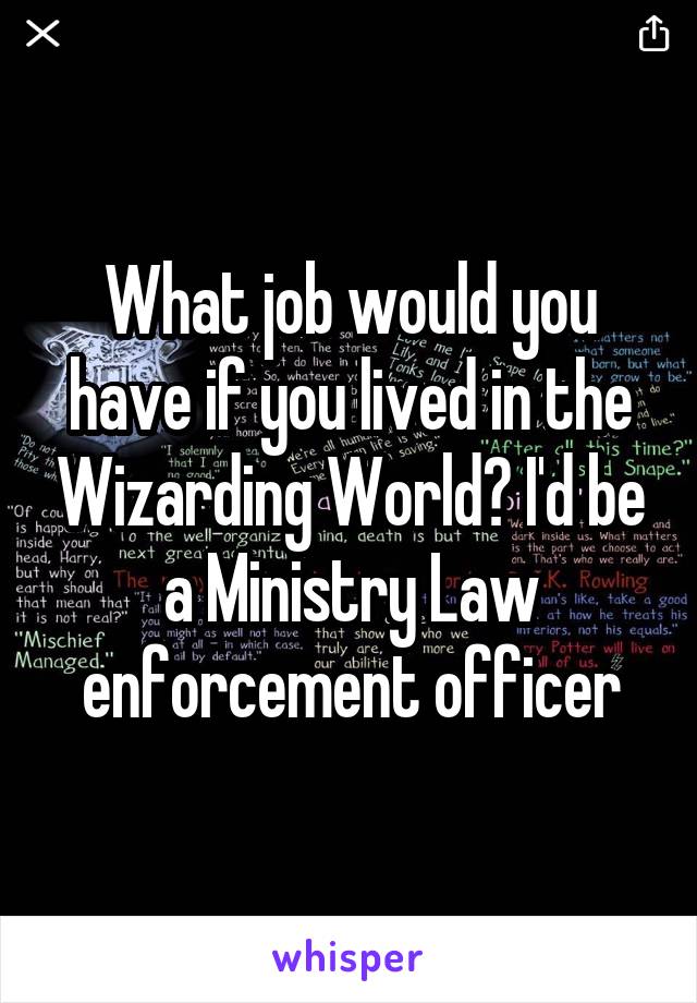 What job would you have if you lived in the Wizarding World? I'd be a Ministry Law enforcement officer