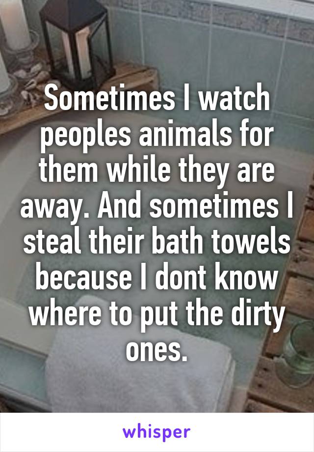 Sometimes I watch peoples animals for them while they are away. And sometimes I steal their bath towels because I dont know where to put the dirty ones.
