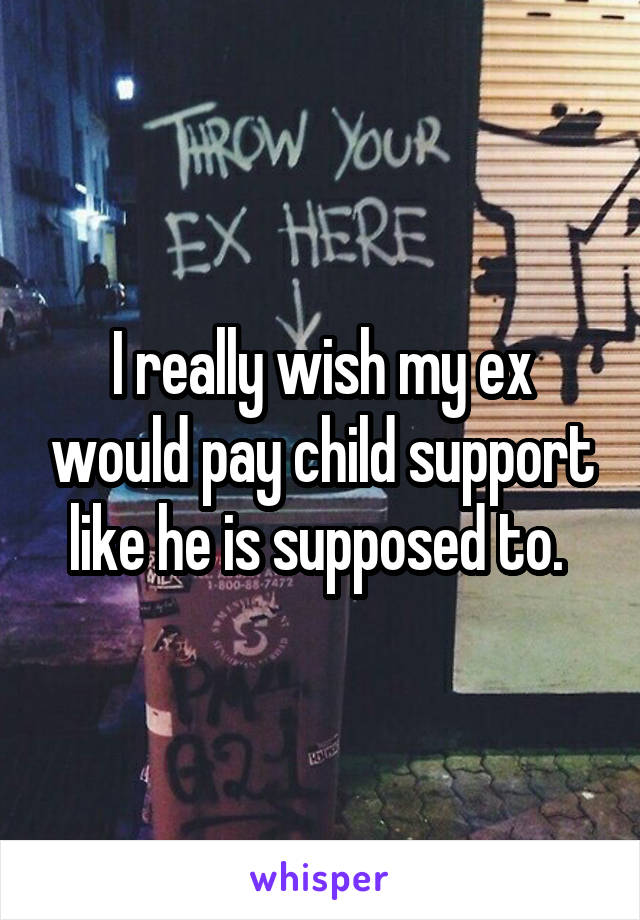 I really wish my ex would pay child support like he is supposed to. 