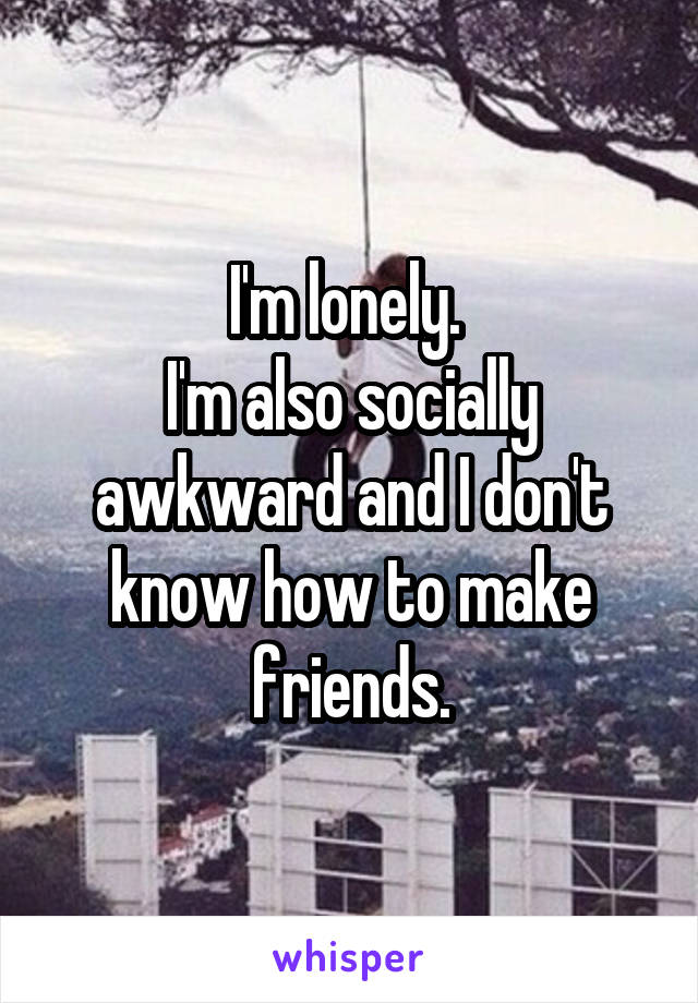 I'm lonely. 
I'm also socially awkward and I don't know how to make friends.