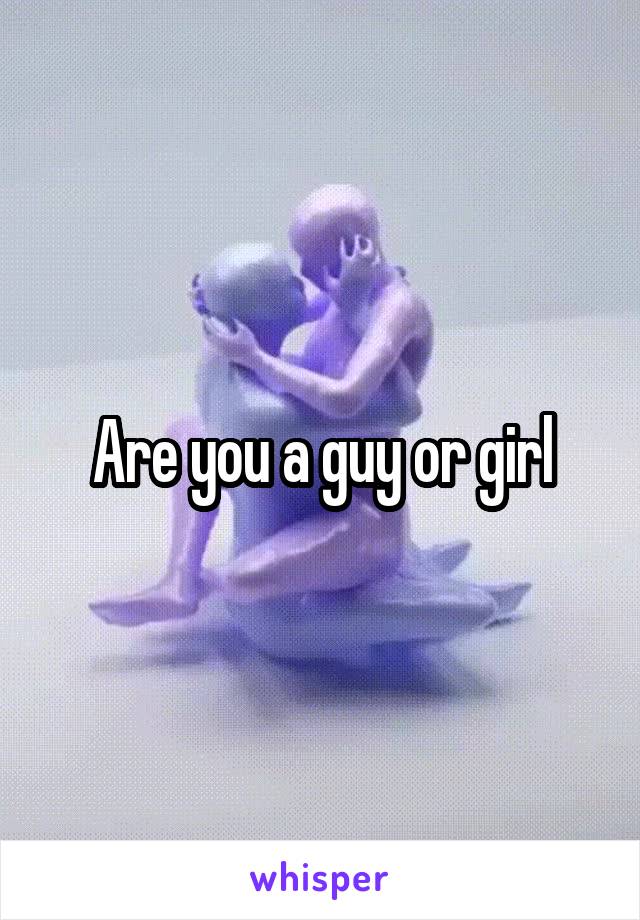 Are you a guy or girl