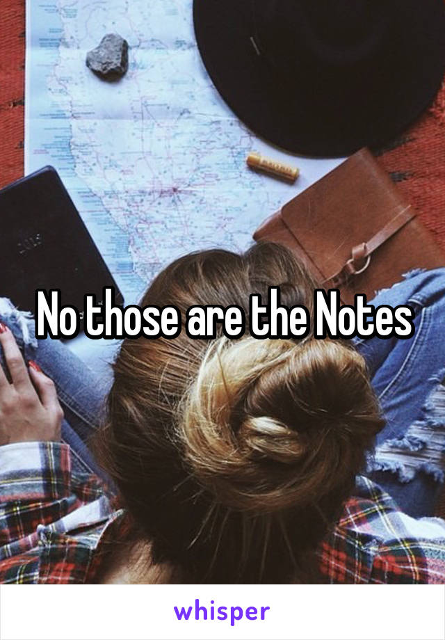 No those are the Notes