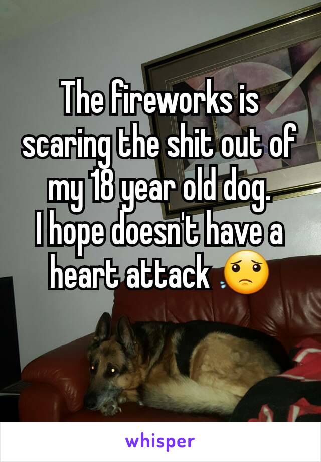 The fireworks is scaring the shit out of my 18 year old dog.
I hope doesn't have a heart attack 😟