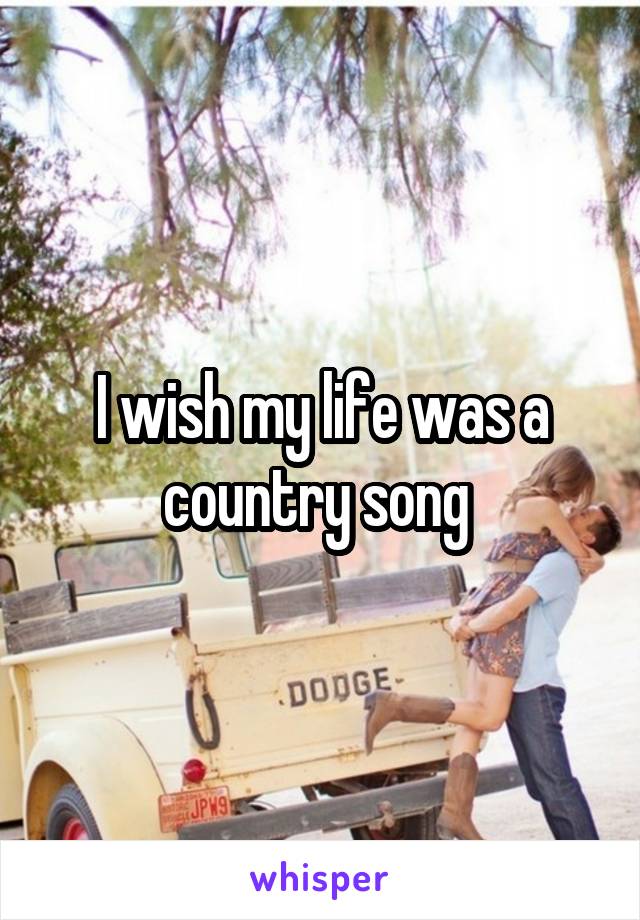 I wish my life was a country song 
