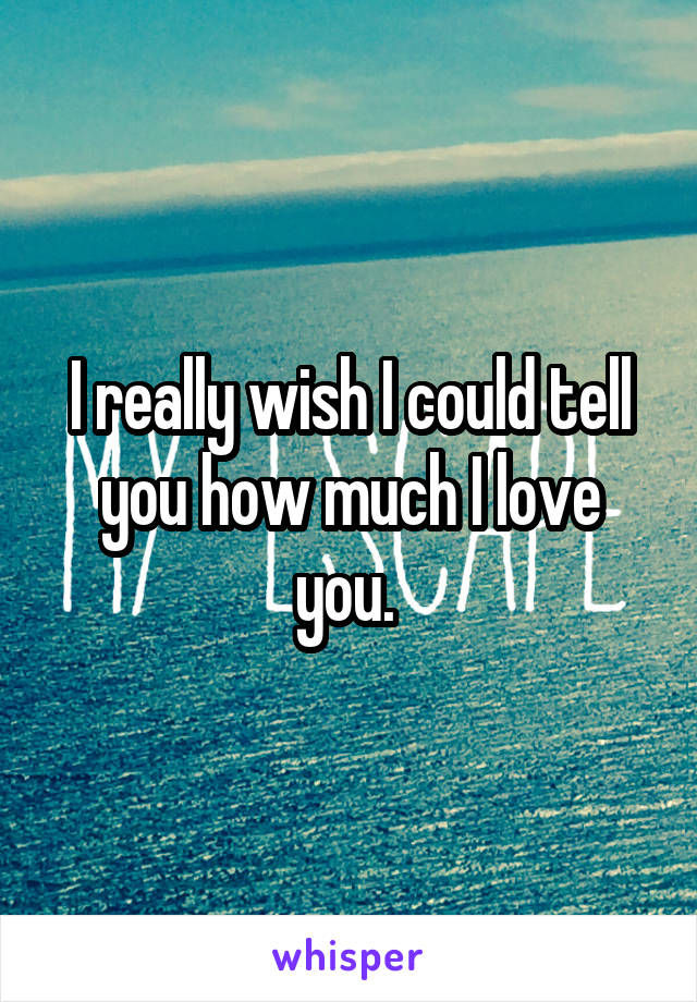 I really wish I could tell you how much I love you. 