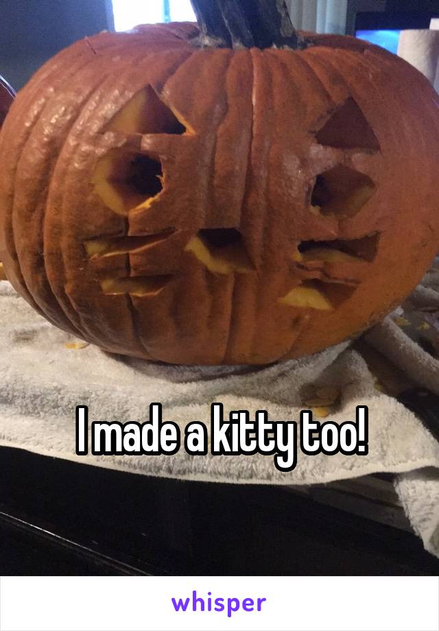 



I made a kitty too!