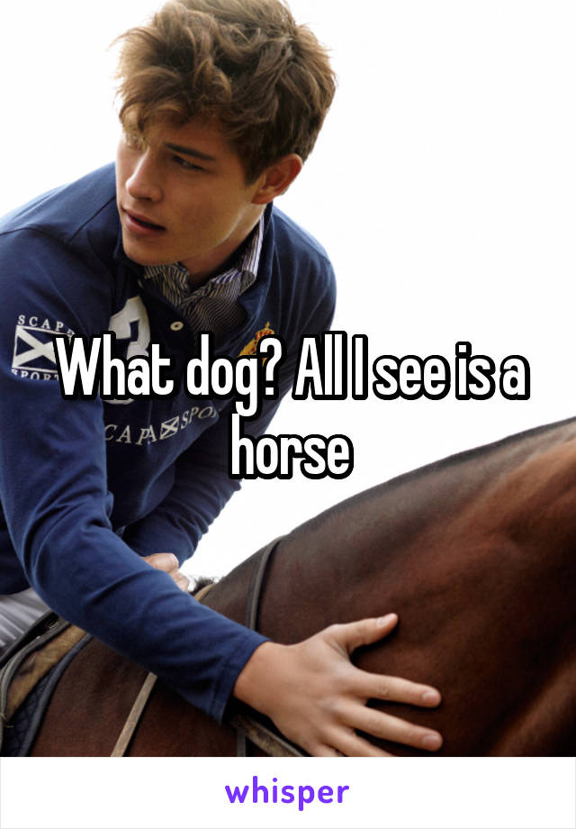 What dog? All I see is a horse