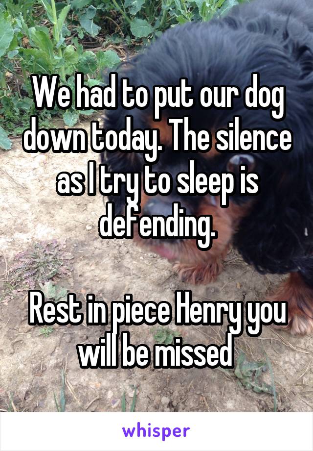 We had to put our dog down today. The silence as I try to sleep is defending.

Rest in piece Henry you will be missed 