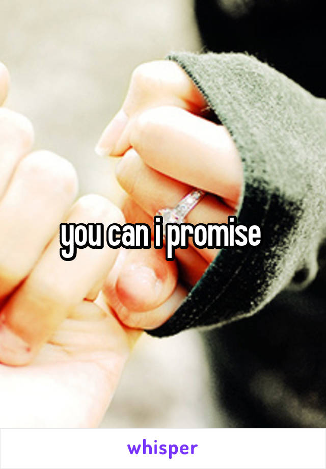 you can i promise 