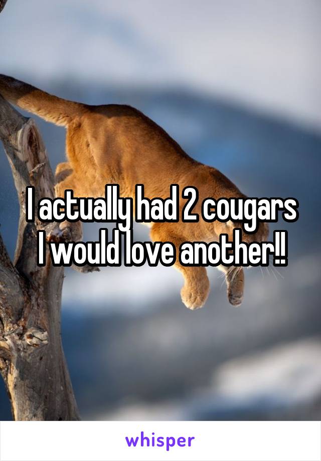 I actually had 2 cougars I would love another!!