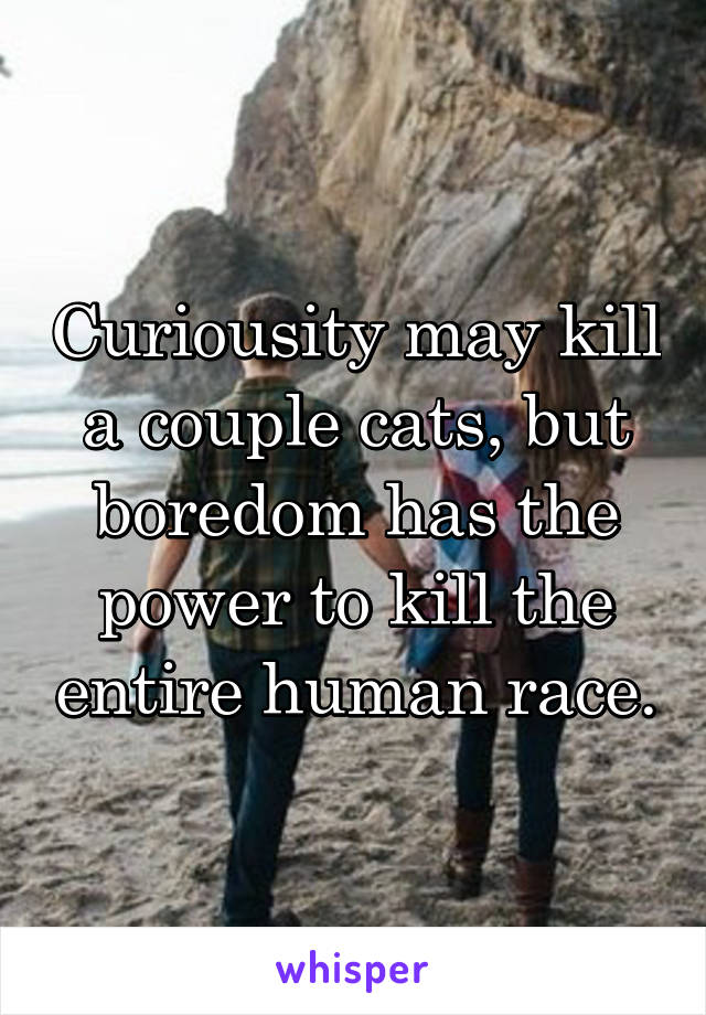 Curiousity may kill a couple cats, but boredom has the power to kill the entire human race.