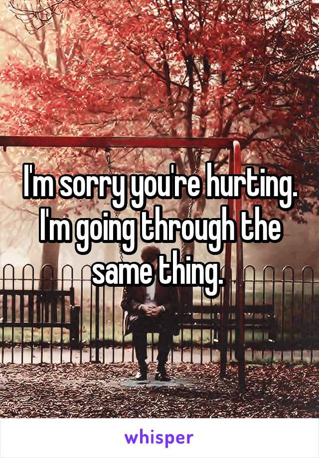 I'm sorry you're hurting. I'm going through the same thing. 