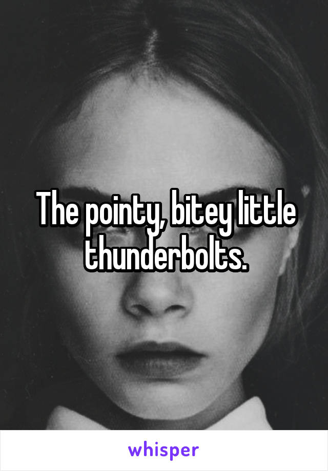 The pointy, bitey little thunderbolts.