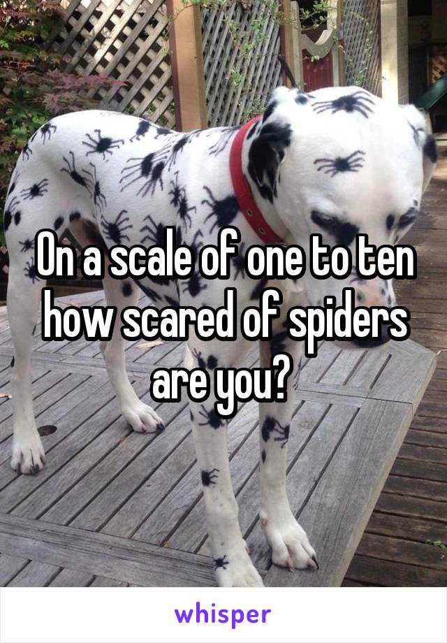 On a scale of one to ten how scared of spiders are you? 