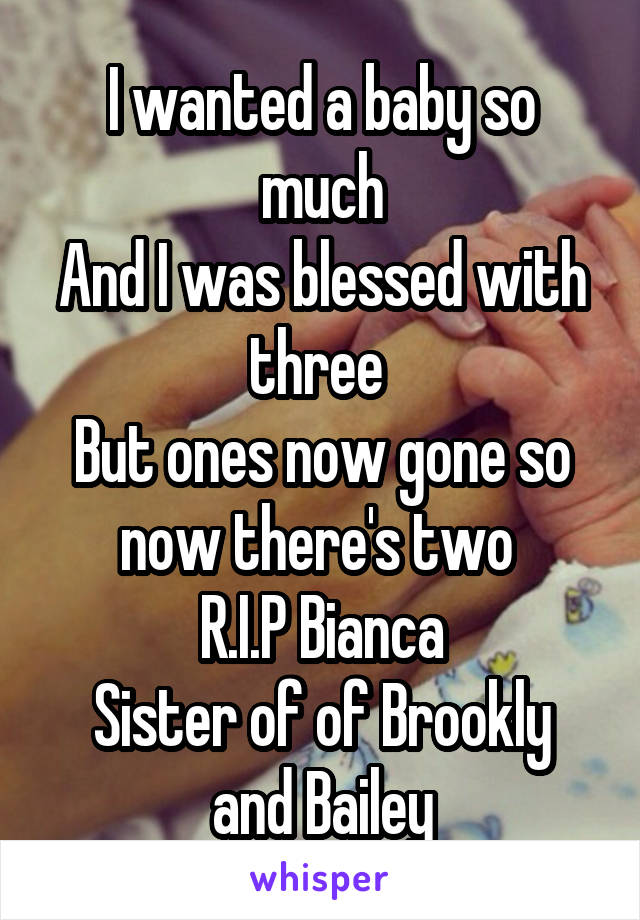 I wanted a baby so much
And I was blessed with three 
But ones now gone so now there's two 
R.I.P Bianca
Sister of of Brookly and Bailey