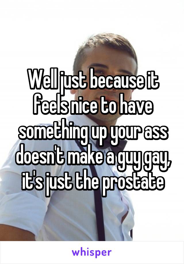 Well just because it feels nice to have something up your ass doesn't make a guy gay, it's just the prostate