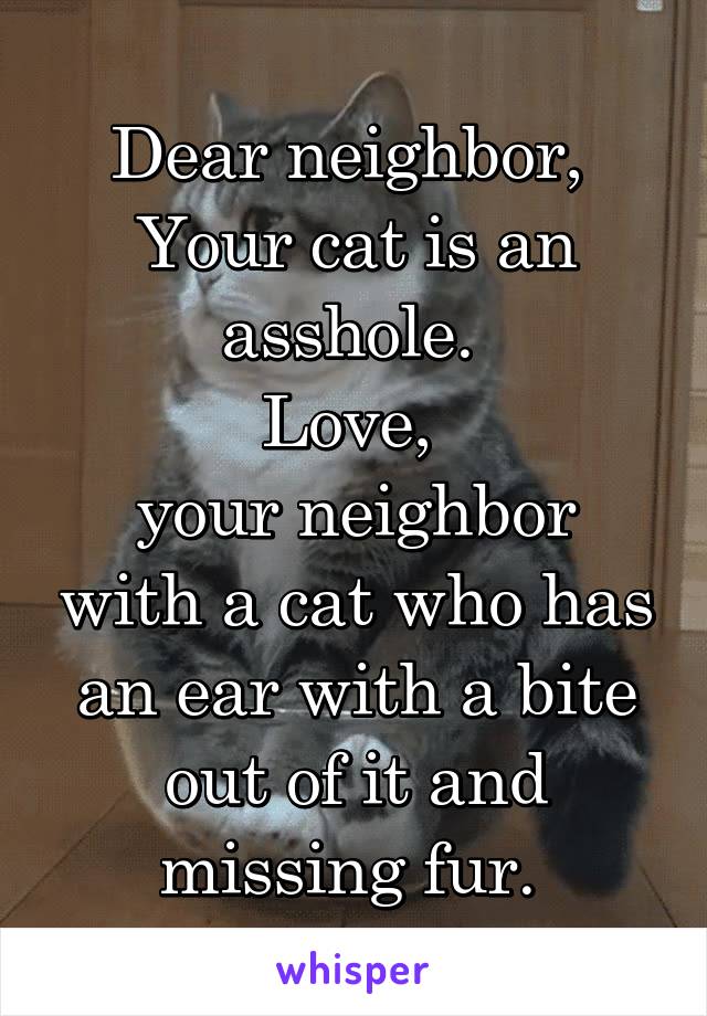 Dear neighbor, 
Your cat is an asshole. 
Love, 
your neighbor with a cat who has an ear with a bite out of it and missing fur. 