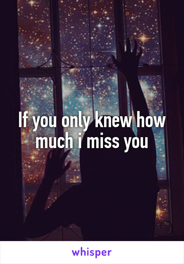 If you only knew how much i miss you