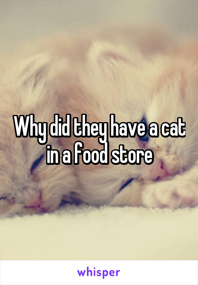 Why did they have a cat in a food store
