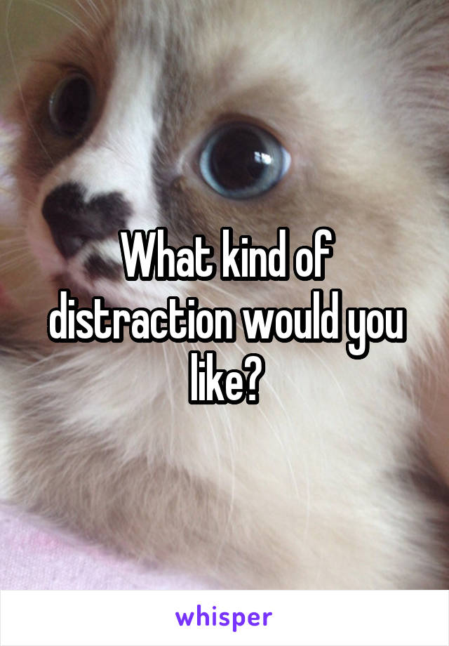 What kind of distraction would you like?