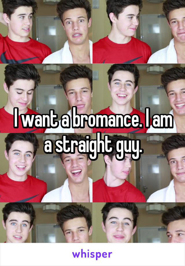 I want a bromance. I am a straight guy.