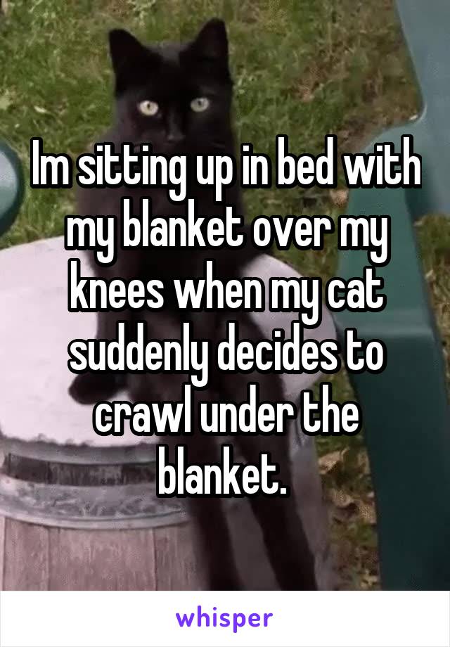 Im sitting up in bed with my blanket over my knees when my cat suddenly decides to crawl under the blanket. 