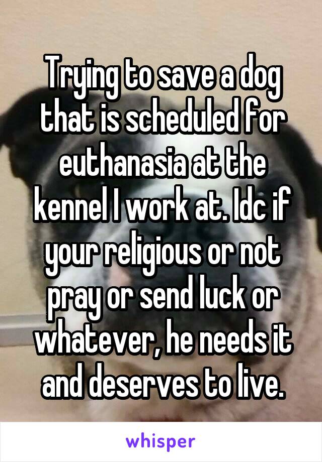 Trying to save a dog that is scheduled for euthanasia at the kennel I work at. Idc if your religious or not pray or send luck or whatever, he needs it and deserves to live.