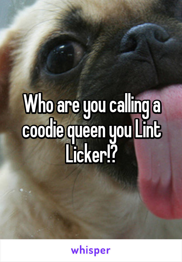 Who are you calling a coodie queen you Lint Licker!?