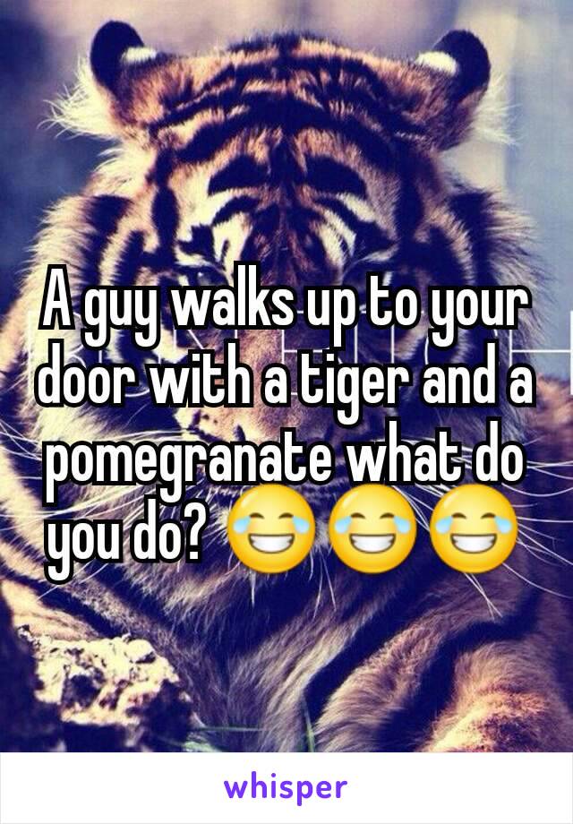 A guy walks up to your door with a tiger and a pomegranate what do you do? 😂😂😂
