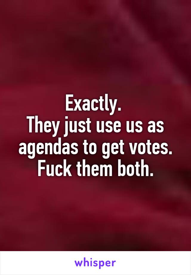 Exactly. 
They just use us as agendas to get votes.
Fuck them both.