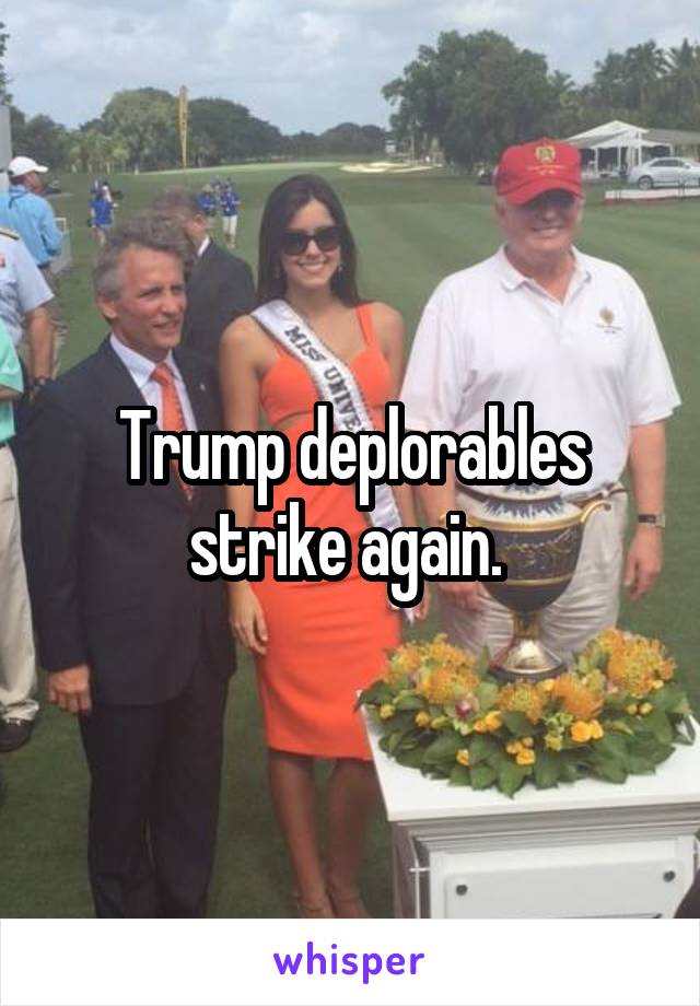 Trump deplorables strike again. 
