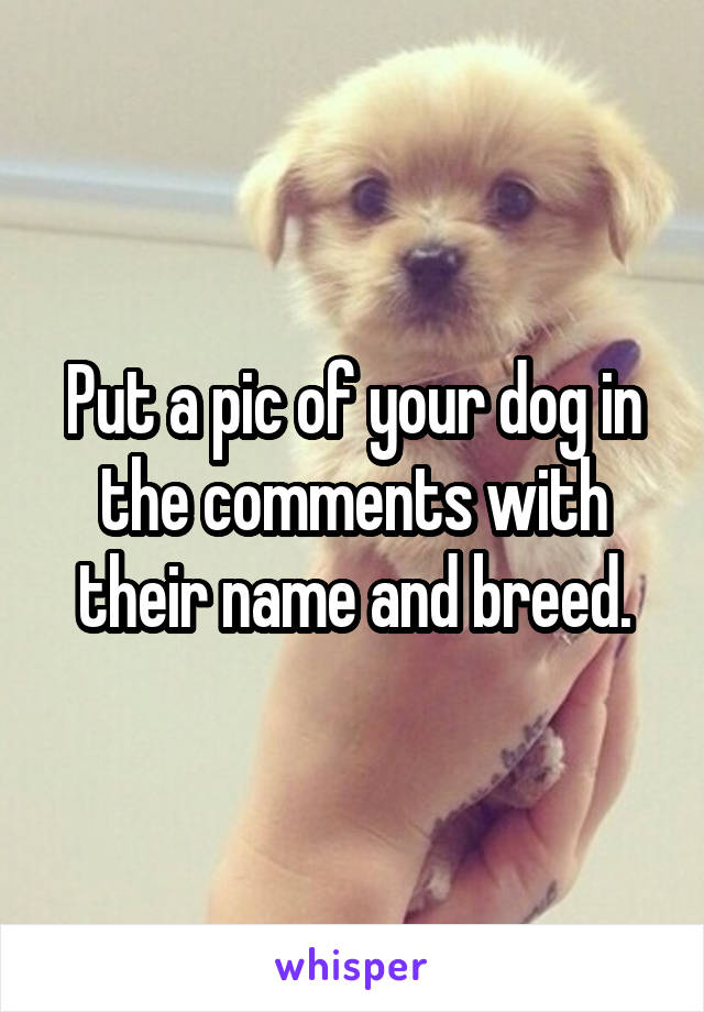 Put a pic of your dog in the comments with their name and breed.