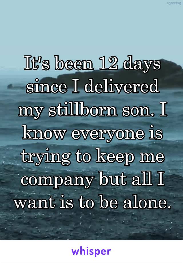 It's been 12 days since I delivered my stillborn son. I know everyone is trying to keep me company but all I want is to be alone.