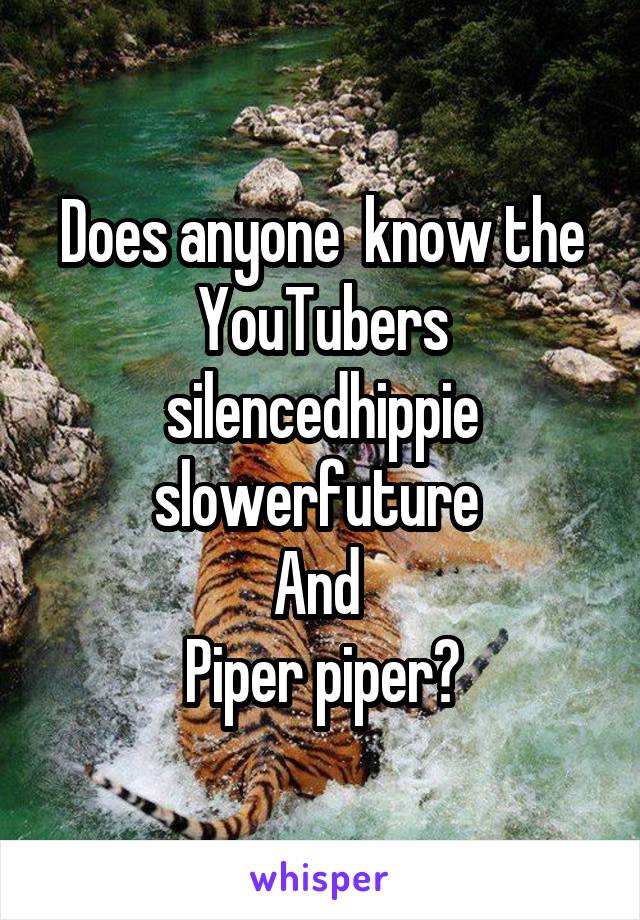 Does anyone  know the YouTubers silencedhippie slowerfuture 
And 
Piper piper?