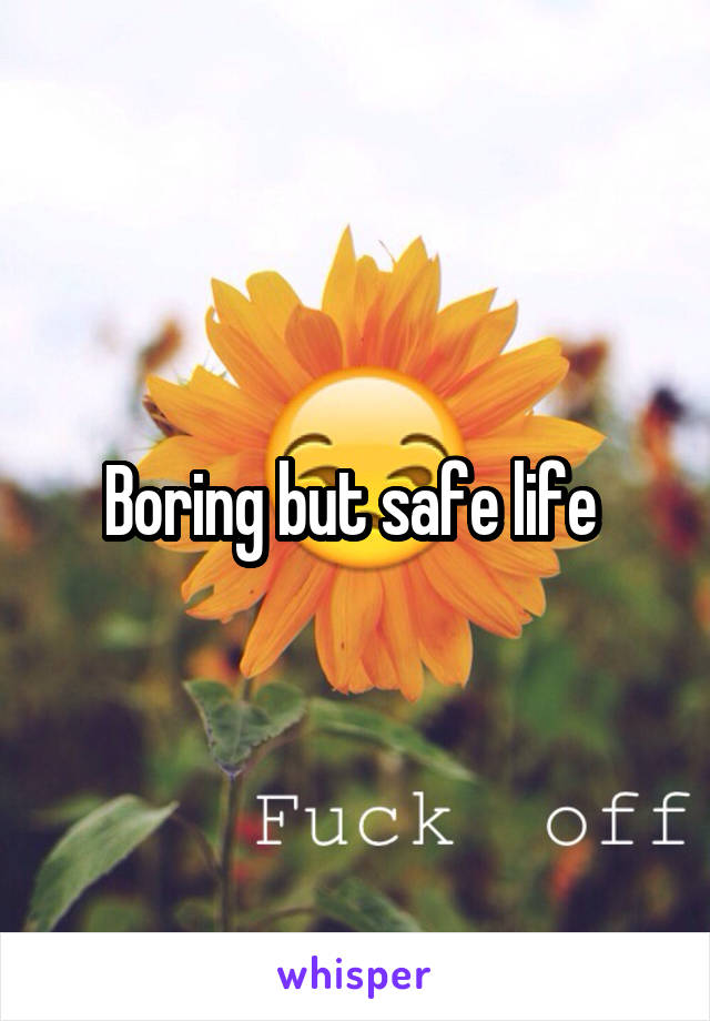 Boring but safe life 