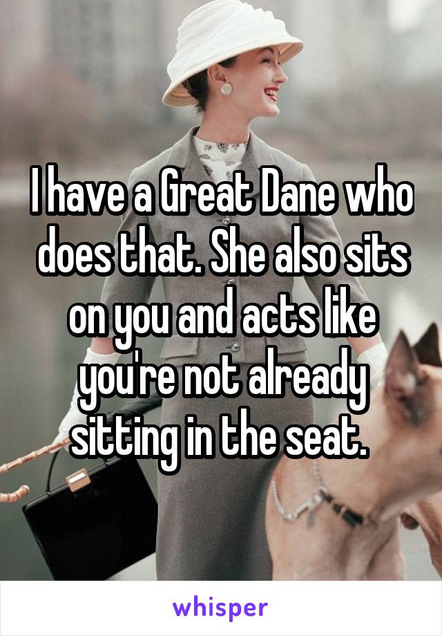 I have a Great Dane who does that. She also sits on you and acts like you're not already sitting in the seat. 