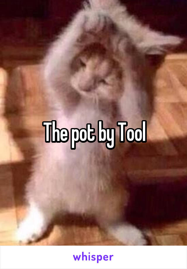 The pot by Tool