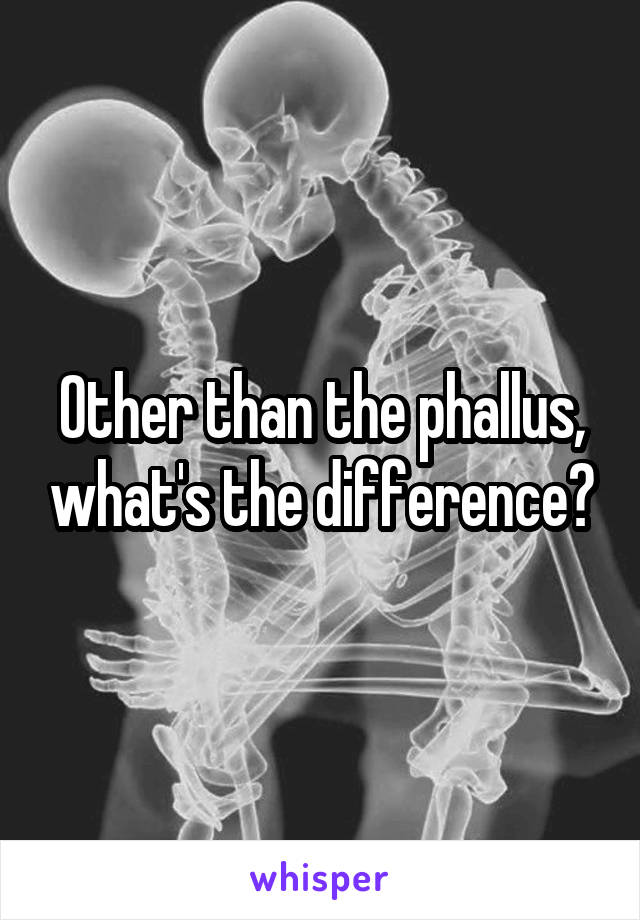 Other than the phallus, what's the difference?