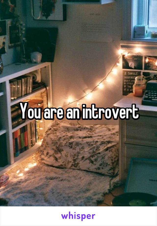 You are an introvert