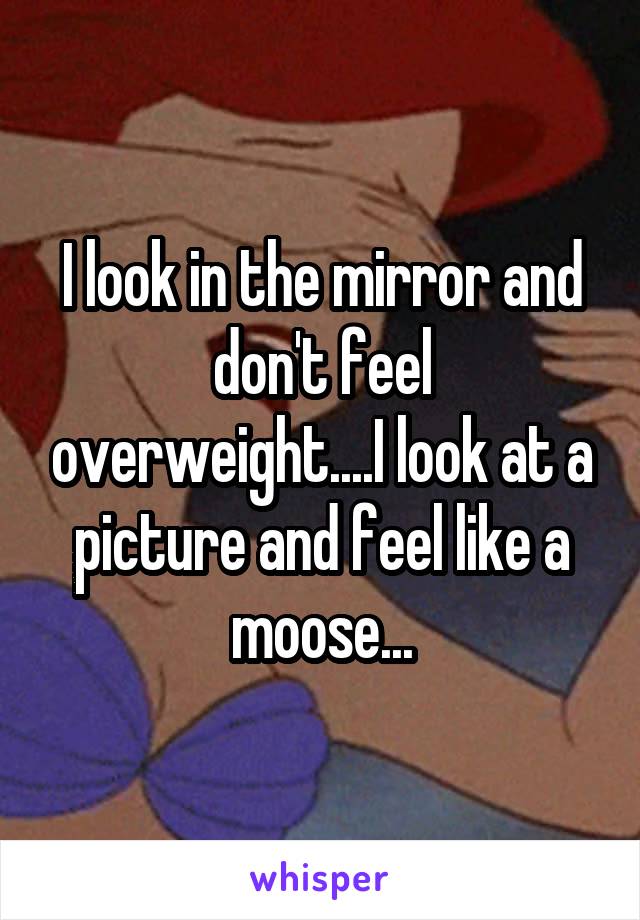 I look in the mirror and don't feel overweight....I look at a picture and feel like a moose...