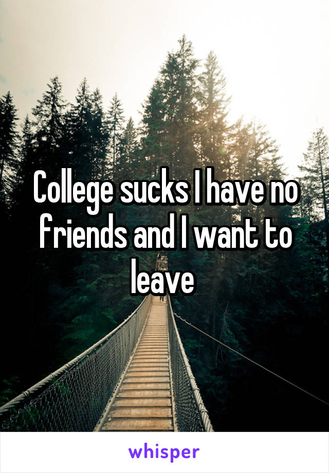 College sucks I have no friends and I want to leave 
