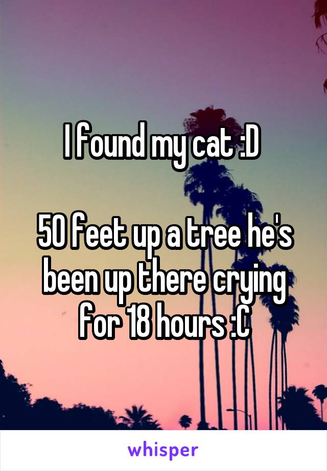 I found my cat :D 

50 feet up a tree he's been up there crying for 18 hours :C