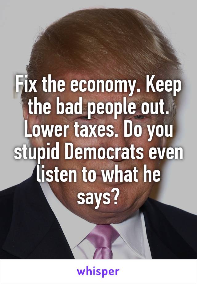 Fix the economy. Keep the bad people out. Lower taxes. Do you stupid Democrats even listen to what he says?