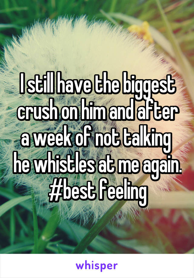 I still have the biggest crush on him and after a week of not talking  he whistles at me again. #best feeling