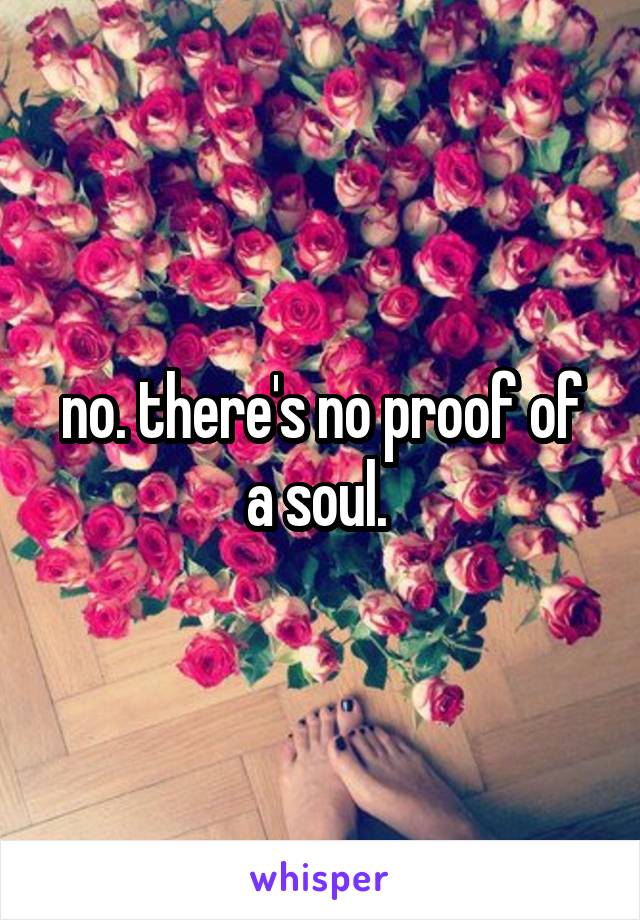 no. there's no proof of a soul. 