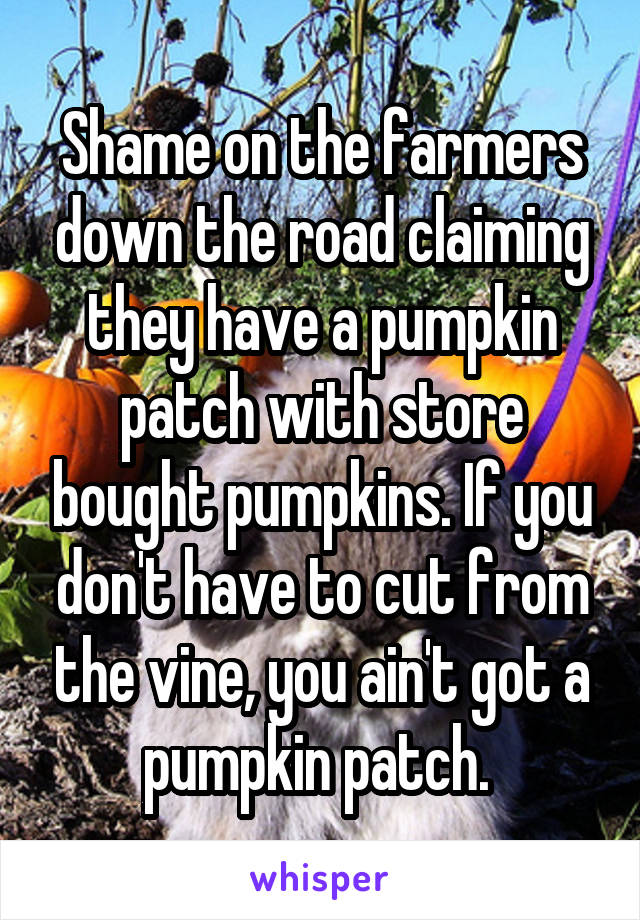 Shame on the farmers down the road claiming they have a pumpkin patch with store bought pumpkins. If you don't have to cut from the vine, you ain't got a pumpkin patch. 