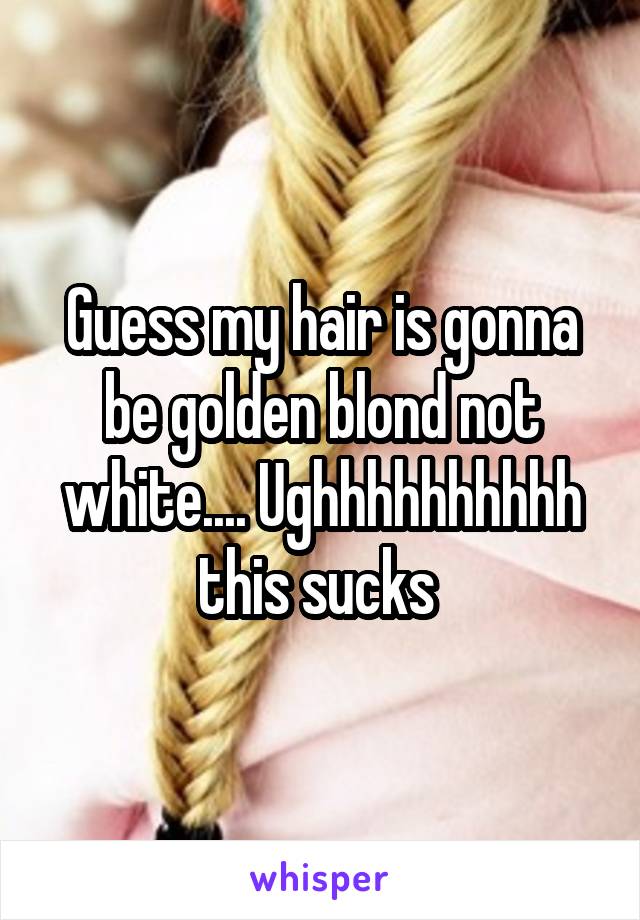 Guess my hair is gonna be golden blond not white.... Ughhhhhhhhhh this sucks 