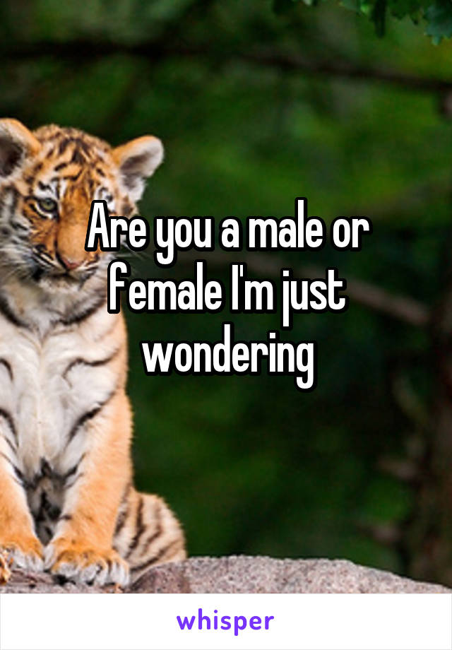 Are you a male or female I'm just wondering
