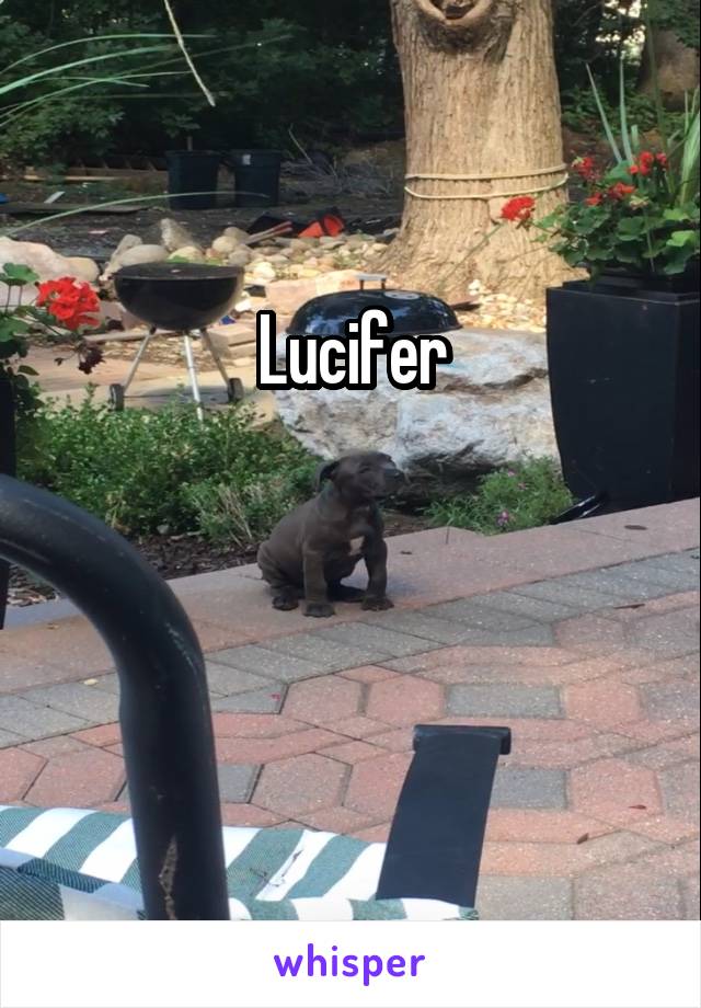 Lucifer


